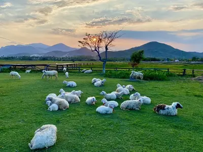 TOUR NINH THUẬN TỪ NHA TRANG ƯU ĐÃI – MIỄN PHÍ BỮA TRƯA