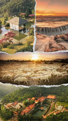 TOUR NHA TRANG – ĐÀ LẠT 5 NGÀY 4 ĐÊM (ảnh 3)