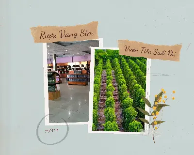 Tour Khám phá Đông Phú Quốc (nửa ngày) (ảnh 2)