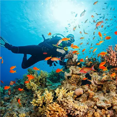TOUR NHA TRANG 2D1N (사진 4)
