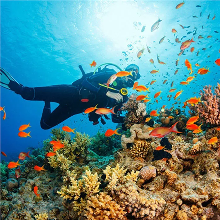 TOUR NHA TRANG 2D1N (ảnh 4)