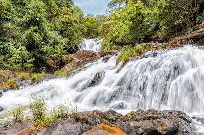 Tour khám phá Đà Lạt 4D3N (ảnh 3)