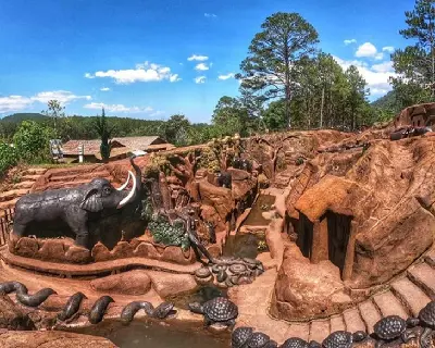 Tour khám phá Đà Lạt 4D3N (ảnh 4)