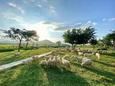 TOUR NHA TRANG - VĨNH HY 5D4N (ảnh 3)