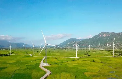 Tour Ninh Thuận 3D2N (ảnh 4)