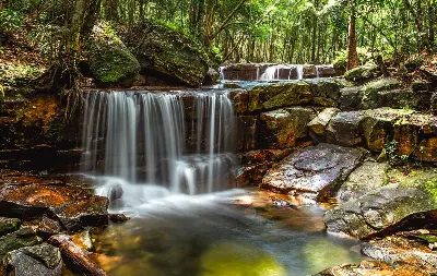 TOUR BẮC ĐẢO & NAM ĐẢO PHÚ QUỐC (ảnh 3)