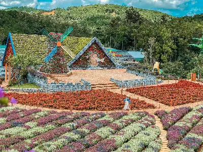 TOUR ĐÀ LẠT 2D1N (照片 3)