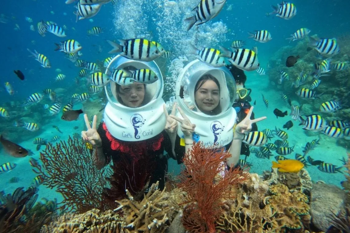 NHA TRANG - VIN - MINBEACH - HÒN TẰM 3D3N (ảnh 2)