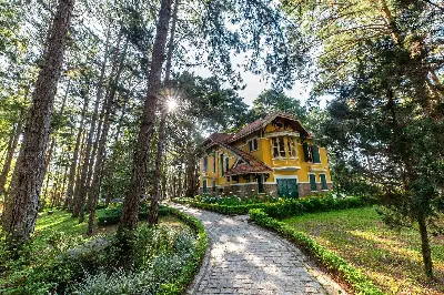 CITY TOUR ĐÀ LẠT 1 NGÀY (ảnh 2)