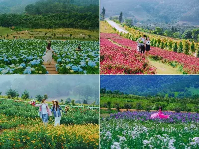 TOUR KHÁM PHÁ NGOẠI THÀNH ĐÀ LẠT
