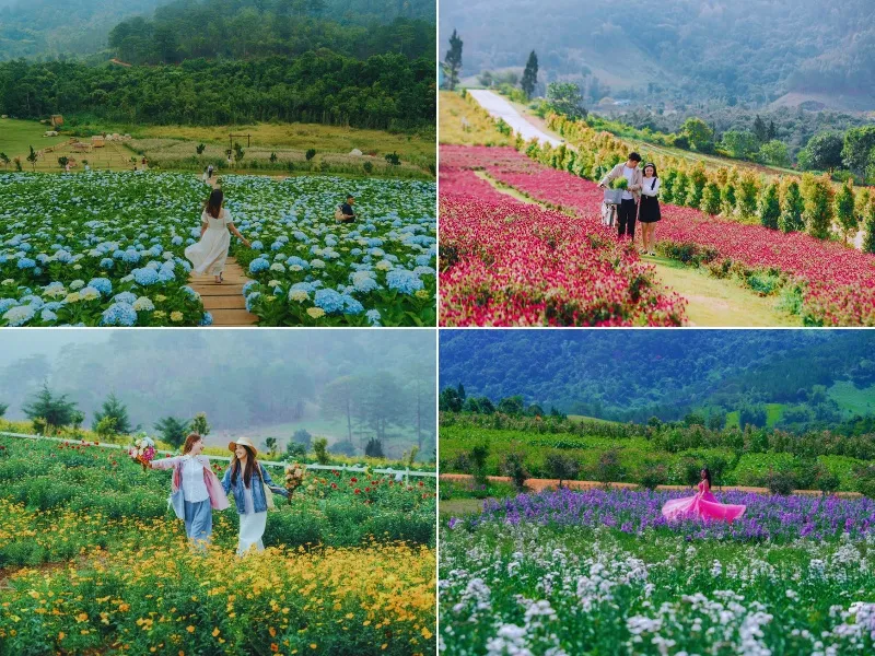 TOUR KHÁM PHÁ NGOẠI THÀNH ĐÀ LẠT