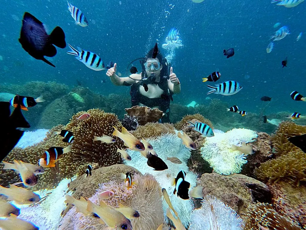 Tour 3 đảo Vip Bãi Tranh - Làng Chài - Hòn Tằm (ảnh 2)
