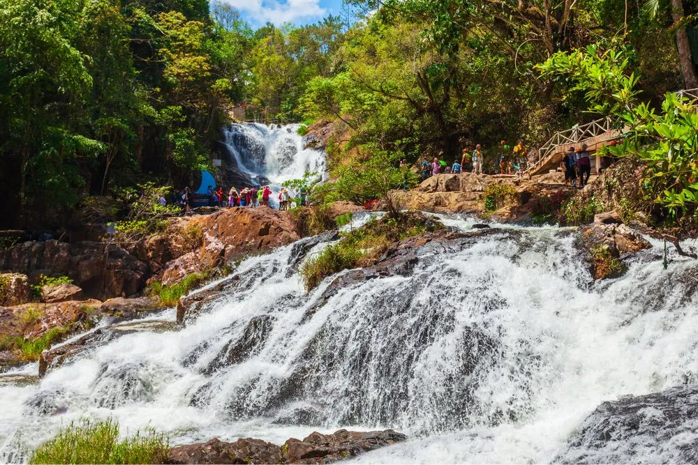 TOUR ĐÀ LẠT 4N3Đ (ĐÓN CHIỀU TIỄN TỐI) (ảnh 3)