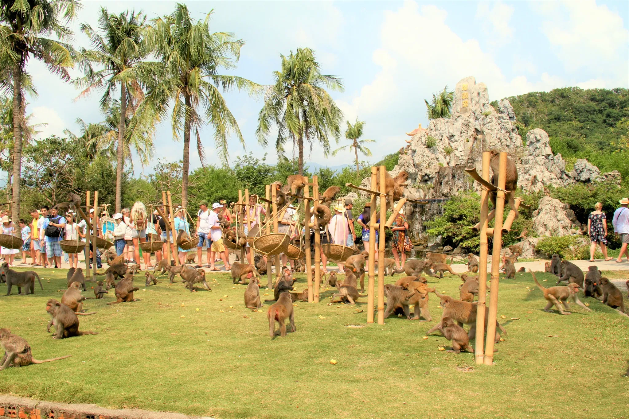 TOUR NHA TRANG 4N3Đ (ĐI VỊNH NHA PHU) (ảnh 3)