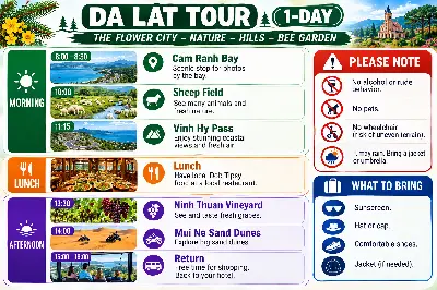 TOUR VỊNH VĨNH HY – ĐỒI CÁT MŨI DINH (ảnh 5)
