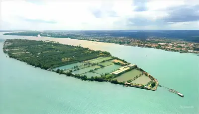 CẦN THƠ: BỮA SÁNG TRÊN SÔNG & MIỆT VƯỜN CỒN SƠN (ảnh 2)