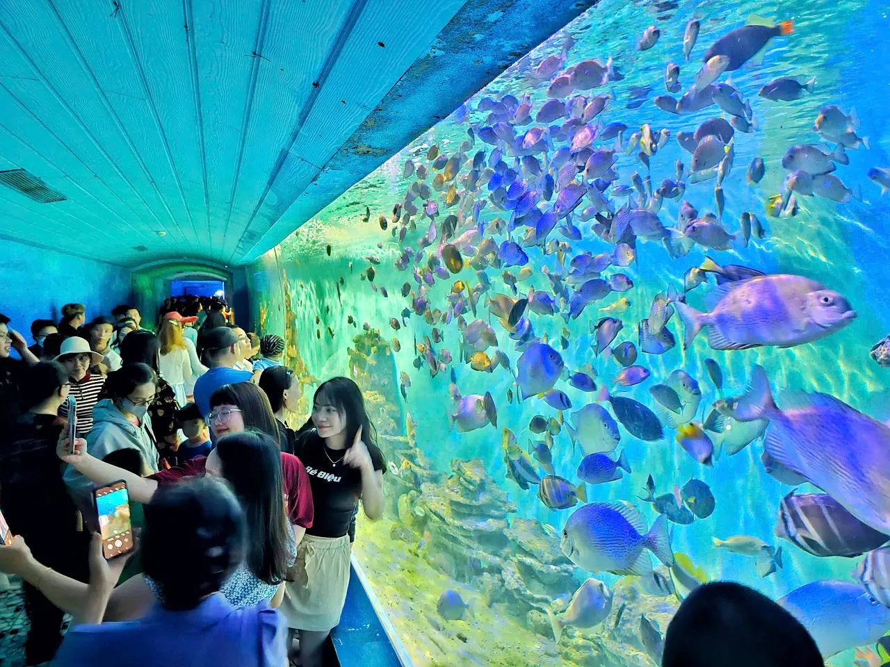 CITY TOUR THAM QUAN THÀNH PHỐ NHA TRANG (ảnh 4)