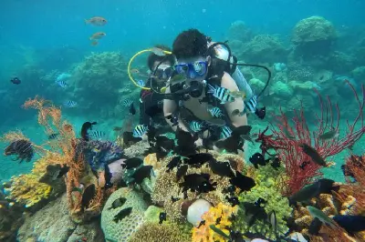 Tour Nha Trang 3 Đảo Lặn Biển - BBQ Trên Thuyền 1 Ngày (ảnh 2)