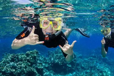 Tour Nha Trang 3 Đảo Lặn Biển - BBQ Trên Thuyền 1 Ngày (ảnh 4)
