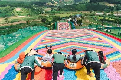 Tour Đà Lạt: Luge Kart, Mongoland & Alpine Coaster  (ảnh 2)
