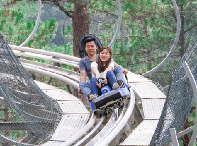 Tour Đà Lạt: Luge Kart, Mongoland & Alpine Coaster  (ảnh 4)