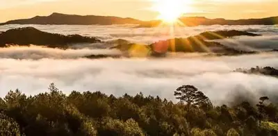 Tour Đà Lạt: Trekking ngắm bình minh núi Hòn Bồ & Săn mây