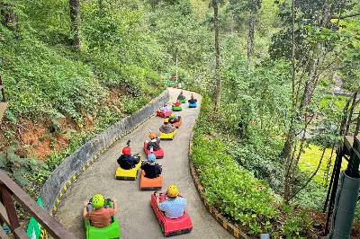 Tour Đà Lạt: Alpine Coaster, Rainbow Sliding & Luge Kart (ảnh 3)