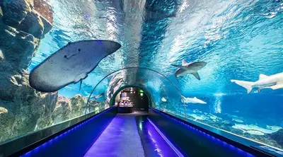 Vé Vào Công Viên Giải Trí VinWonders Nha Trang  (ảnh 3)