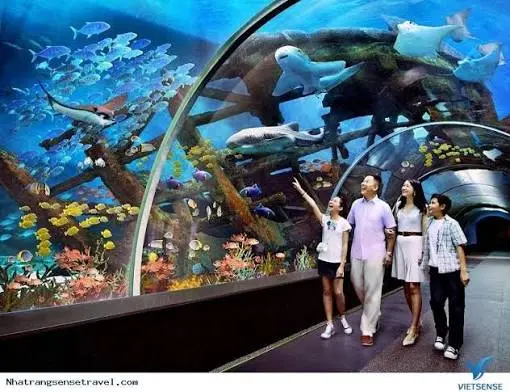 VÉ VÀO CỔNG VINWONDER  — Nha Trang, Việt Nam
