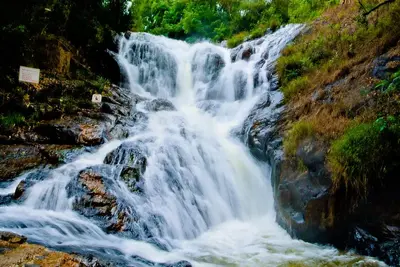 KHÁM PHÁ ĐÀ LẠT 3 NGÀY 2 ĐÊM (ảnh 4)