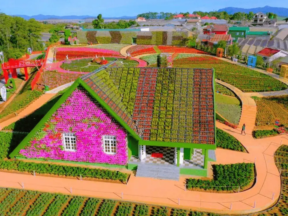 TOUR ĐÀ LẠT CHECK IN CÙNG HOA — Đà Lạt — Lâm Đồng, Việt Nam