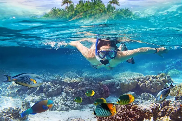 Tour Vui Chơi Đảo Hòn Mun trong ngày — Nha Trang — Khánh Hòa, Việt Nam