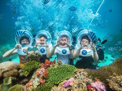 Tour Vui Chơi Đảo Hòn Mun trong ngày (ảnh 3)
