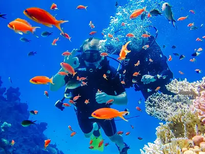 DU NGOẠN ĐẢO NHA TRANG BÃI TRANH - LÀNG CHÀI - CON SẺ TRE (ảnh 3)