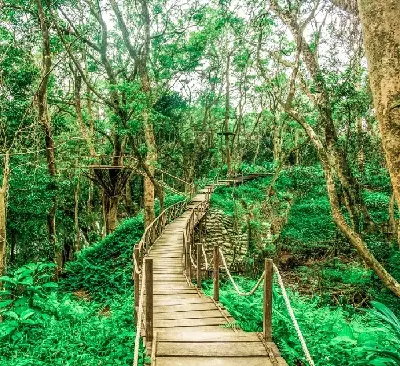 Paradise Cave & Ozo Park — Full-Day Discovery (photo 5)