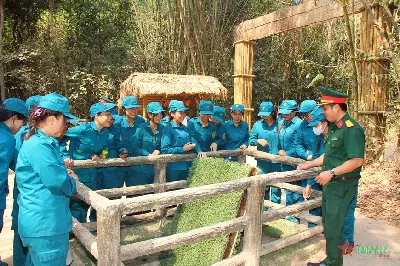 TOUR ĐỊA ĐẠO CỦ CHI & TRẢI NGHIỆM MIỀN TÂY SINH THÁI BẾN LỨC (ảnh 2)