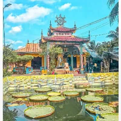 Làng Hoa Sa Đéc - Vườn Quýt Hồng Lai Vung - Chùa Lá Sen (ảnh 4)