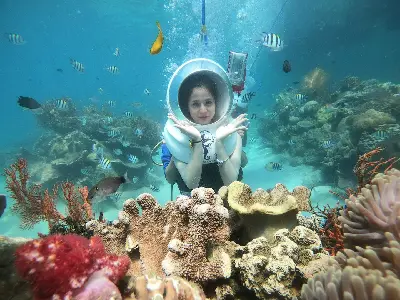 Trải nghiệm câu cá ngắm san hô tại Nha Trang (ảnh 5)