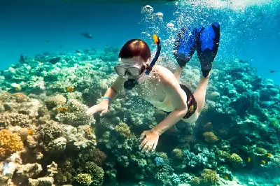 Tour 2 đảo - SUPER VIP Nha Trang (ảnh 5)