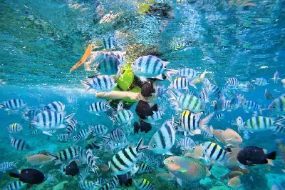TOUR CANO 3 ĐẢO ĐẸP NHẤT PHÚ QUỐC 1 NGÀY (ảnh 5)