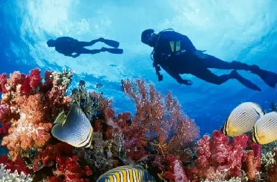 Khám phá vẻ đẹp biển 3 đảo Nha Trang (ảnh 5)