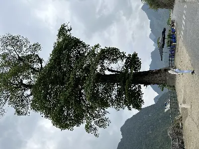 Tour khám phá cao nguyên đá Hà Giang 4 ngày 3 đêm (xe máy) (ảnh 4)