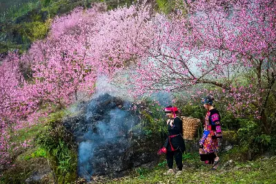 Du lịch Hà Giang 5 ngày 4 đêm (xe máy) (ảnh 2)