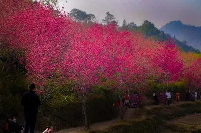 Du lịch Hà Giang 5 ngày 4 đêm (xe máy) (ảnh 3)