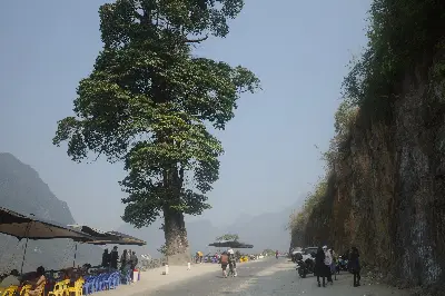 Tour cao nguyên đá Hà Giang 4 ngày 3 đêm (ô tô, khởi hành Hà Nội) (ảnh 4)