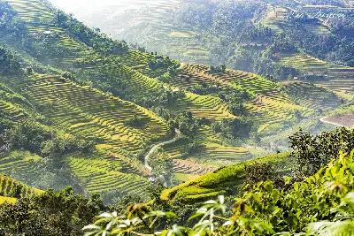 Cung phía tây Hà Giang: Chiêu Lầu Thi – Thác Tiên – Suôi Thầu – Bản Phùng (ảnh 5)