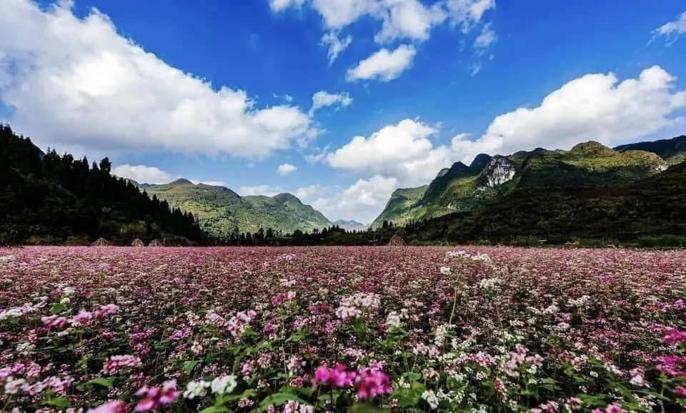Tour Hà Giang 3 ngày 2 đêm: Hà Nội – cao nguyên đá Đồng Văn — Hà Giang, Việt Nam