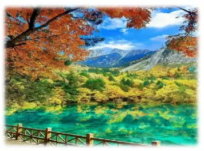 Tour Thành Đô - Cửu Trại Câu - Đô Giang Yển EU 6 ngày 5 đêm (ảnh 4)
