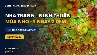 TOUR NHA TRANG – NINH THUẬN MÙA NHO 3 NGÀY 2 ĐÊM