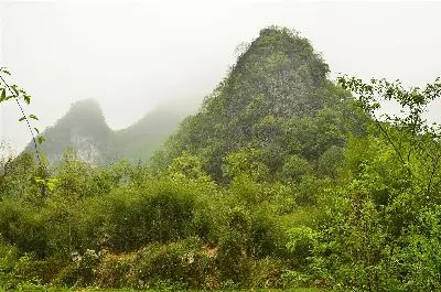 Tour Quý Châu - Trùng Khánh NO SHOPPING 5 ngày 4 đêm (ảnh 2)